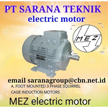 mez electric motor catalogue