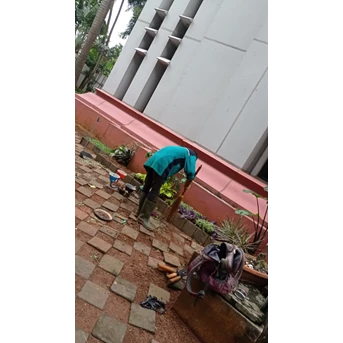 perawatan taman menyapu gulma taman depan di amartapura 17/06/2022