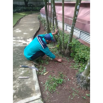 Perawatan taman membersihkan gulma di Amartapura 18/06/2022