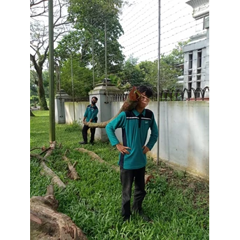 Perawatan taman memindahkan pohon tumbang di Amartapura 11/07/2022