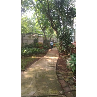 Perawatan taman menyeprot gulma tanaman di Amartapura 11/07/2022