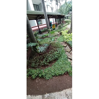 perawatan taman menyapu daun di taman di amartapura 11/07/2022