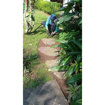 Perawatan taman bersihkan gulma sela2 batu Gardener Cinere 16/07/2022