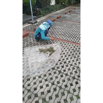 perawatan taman membersihkan gulma di asuransi bintang 02/09/2022