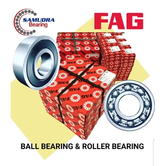 Roller Bearing FAG