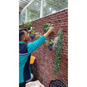 perawatan taman mencabut kering di dinding di kebun jeruk 15/10/2022