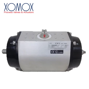 Xomox Pneumatic Actuator
