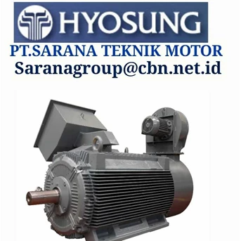 hyosung electric motors high medium voltage-2