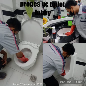 office boy/girl proges gc toilet lobby 02/11/2022