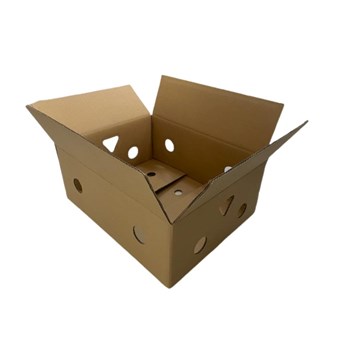 Box Buah Karton Box