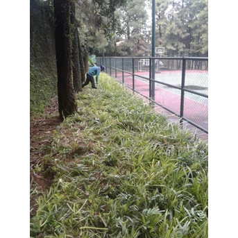Perawatan taman merapikan area lapangan di perumahan Cinere 09/11/2022