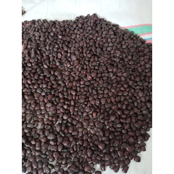 sell: biji asam tamarind atau tamarind seed-2