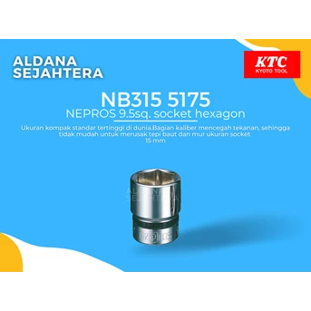 NB315 5175 NEPROS 9.5sq. socket hexagon