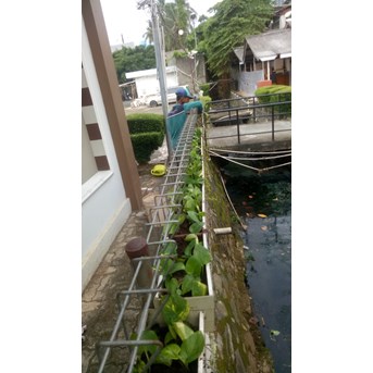 Perawatan taman bersihkan gulma tanaman di Asuransi Bintang 29/11/2022