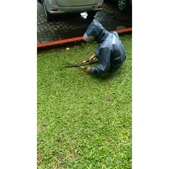 Perawatan taman merapikan rumput liar di Asuransi Bintang 05/12/2022