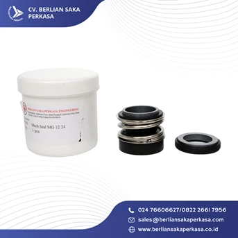 mechanical seal mg 12 24-1
