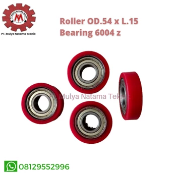 Roller Bearing 6004 z