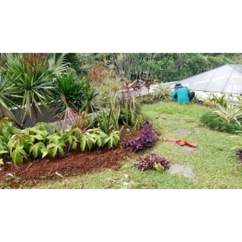 Perawatan taman bersihkan rumput space di perumahan Cinere 24/6/2023