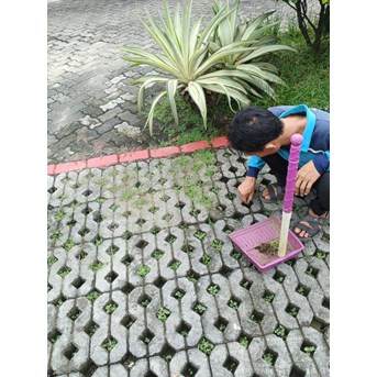 Perawatan taman bersihkan rumput liar di Asuransi Bintang 27/06/2023