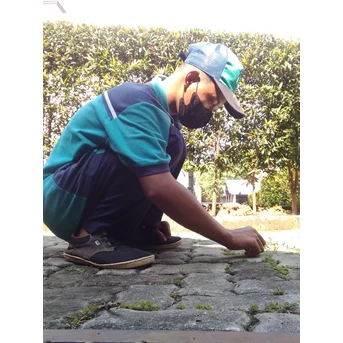 Perawatan taman bersihkan tanaman gulma di Asuransi Bintang 04/11/2023