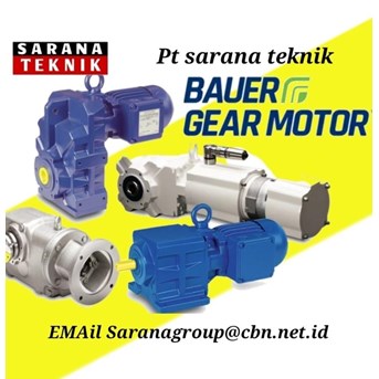 Bauer Gear Motor Reducer