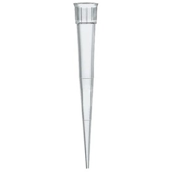 Pipette Tips, 2-200µL, PP, 1000 pcs/pack 732028 Brand