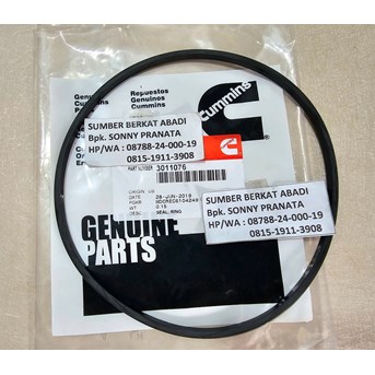 CUMMINS 3011076 SEAL 207524 CYLINDER LINER 205181
