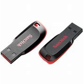 FLASHDISK SANDISK 16GB