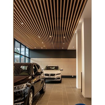 Interior Plafon