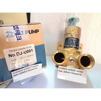 DJ PUMP 25UP SEA WATER PUMP DJ-U001 DJU001 DJ U001