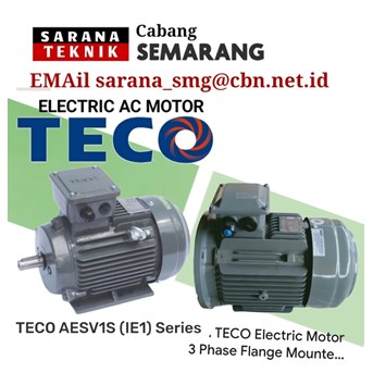 Teco Electric Ac Motor