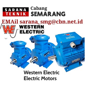 WE Western Electric Motors