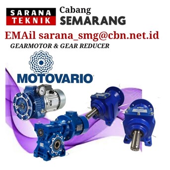 Motovario Gearmotor - Gear Reducer