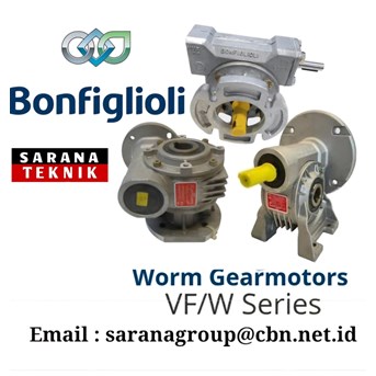 Worm Gear Motors VF/W Series