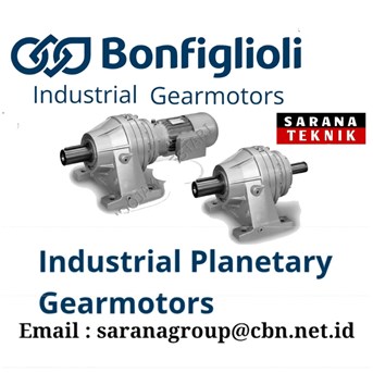 INDUSTRIAL PLANETARY GEAR MOTORS