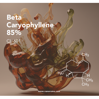 Beta Caryophyllene 85% (CL-601) Van Aroma / Minyak Atsiri