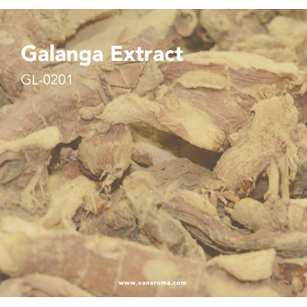 Galanga Extract (GL-0201) Van Aroma / Minyak Atsiri