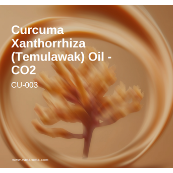 Curcuma Xanthorrhiza Oil - CO2 (CU-003) Van Aroma / Minyak Atsiri