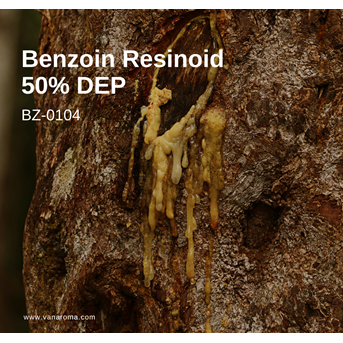Benzoin Resinoid 50% DEP (BZ-0104) Van Aroma / Minyak Atsiri