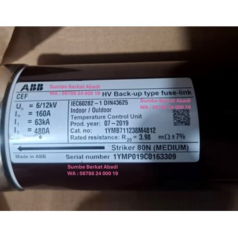 ABB 1YMB711238M4812 6/12kV FUSE 160A 3010343.160 757354 CP 160 A 12 kV