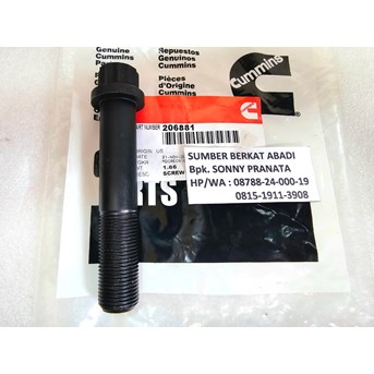 CUMMINS 206881 TWELVE POINT CAP SCREW