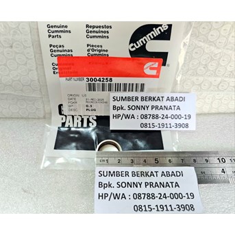 CUMMINS 3004258 EXPANSION PLUG MARINE