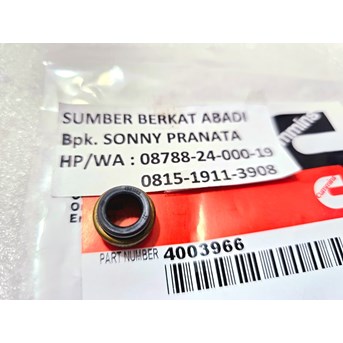 CUMMINS 4003966 3606766 SEAL VALVE STEAM M11 ISM QSM