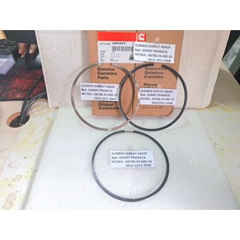 CUMMINS 3803977 3803705 PISTON RING SET 3102367 3899413 3893752 - M11