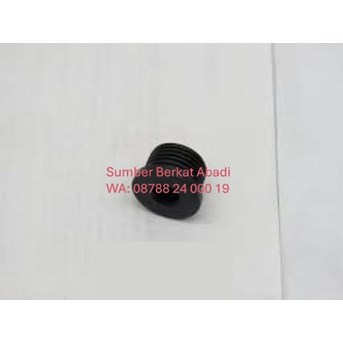 CUMMINS 3040810 THREADED PLUG 207309 166484