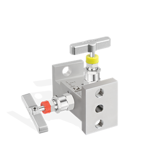 2 Manifolds Pipe Fitting & valves
