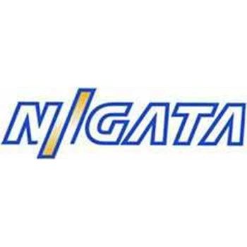 Niigata Spare Parts 