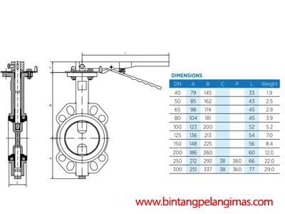 WAFER BUTTERFLY VALVE SERIES 21 BRAND CMO