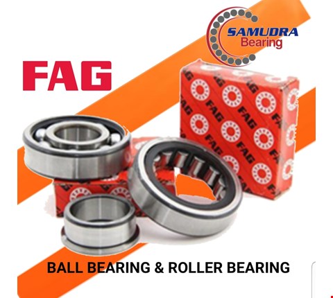 Ball Bearing & Roller Bearing FAG