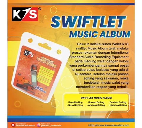 Swiftlet Music Album | Suara Walet Terbaik
